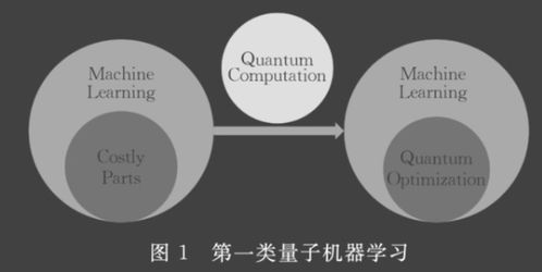 量子機(jī)器學(xué)習(xí) 從理論框架到技術(shù)服務(wù)的實(shí)現(xiàn)路徑